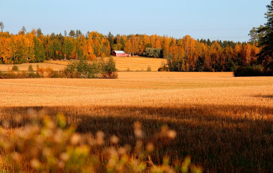 Enjoying The Last Days Of Autumn Before Winter - Wisconsin Life