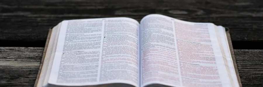 Image of a Bible open to the Gospel of Matthew